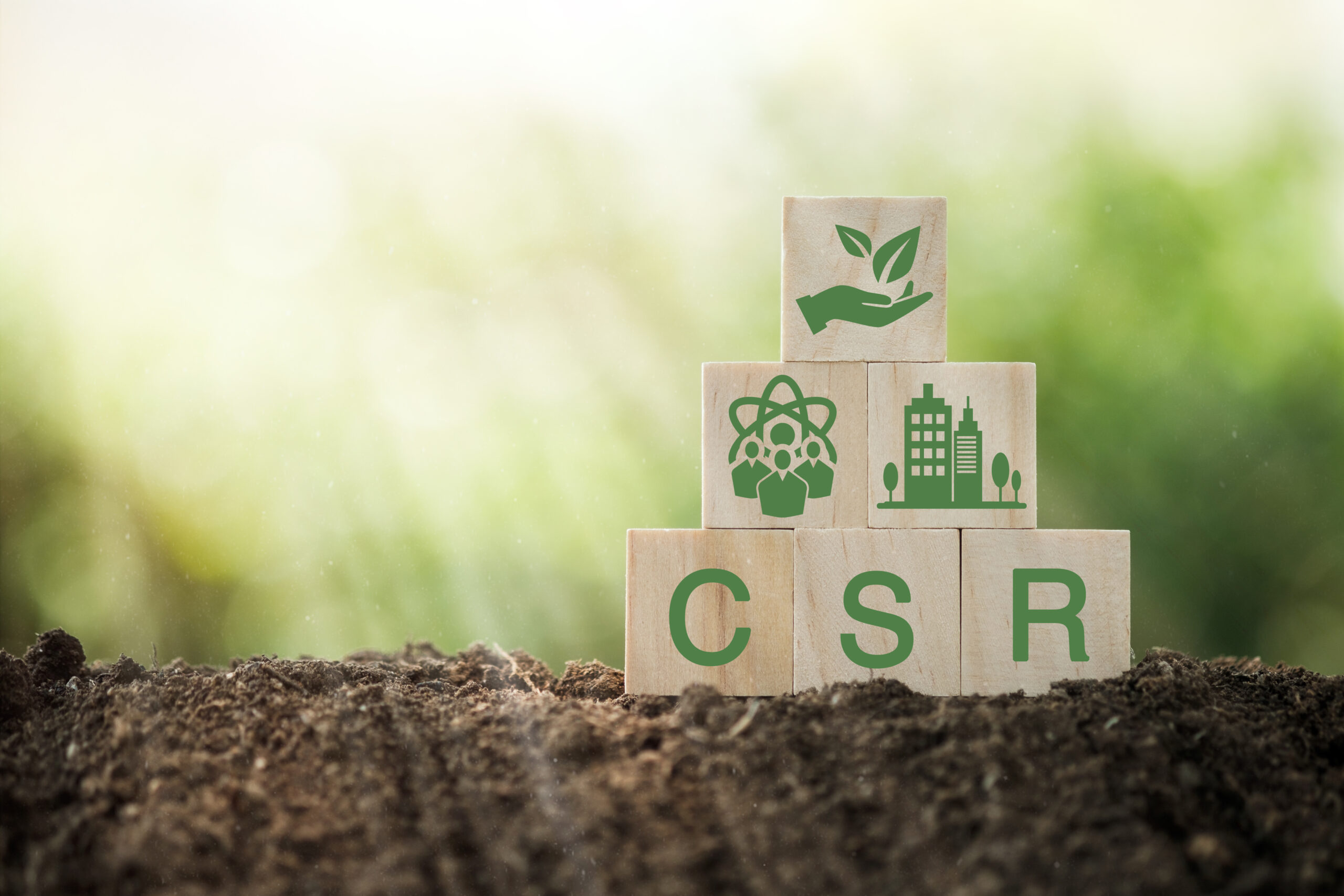 CSR: Extra Activity for social use